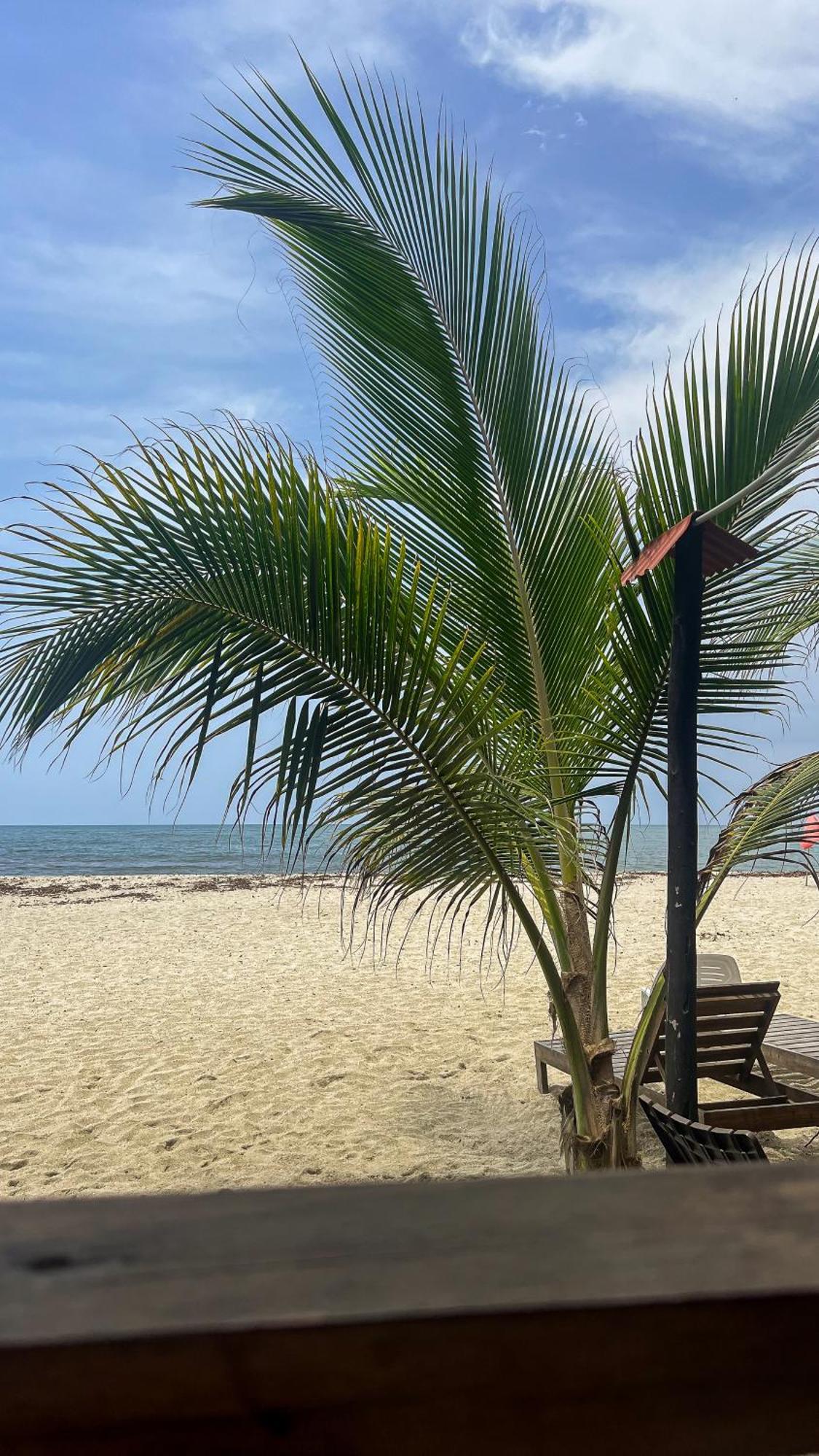 Hostal Mocambo Beach Guachaca 外观 照片
